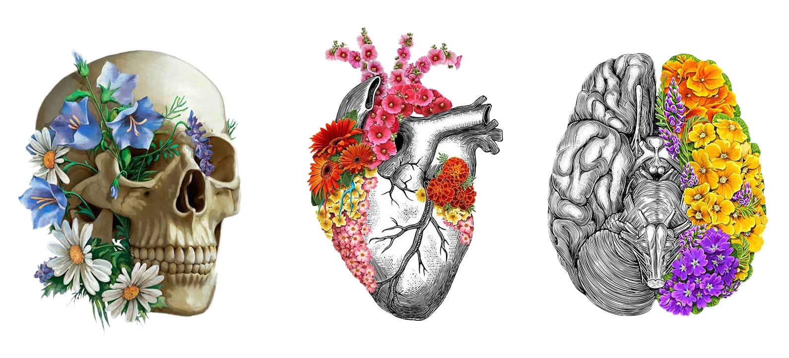 Osteopathy represented by floral motif anatomy art